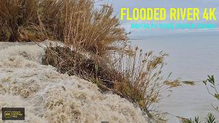 4K Flooded River Overflowing | Heavy Rains & Rushing Water | Silent Nature B-Roll