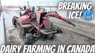 Breaking Through The Ice In Our Lagoon!