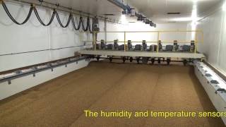 Cereal and Malt automated processing