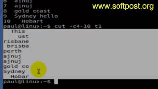 How to print specific range of characters of each line in a file in Unix