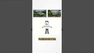 Goliath Tigerfish vs Payara | What's the Difference