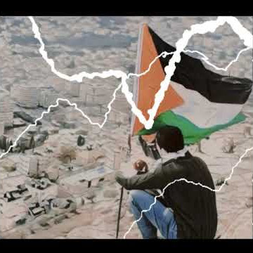 Story wa palestina | save palestina