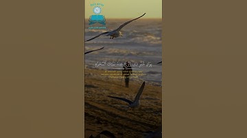 ﴿ رَّبَّنَا إِنِّي أَسْكَنتُ مِن ذُرِّيَّتِي بِوَادٍ غَيْرِ ذِي زَرْعٍ ... القارئ مشارى راشد العفاسى