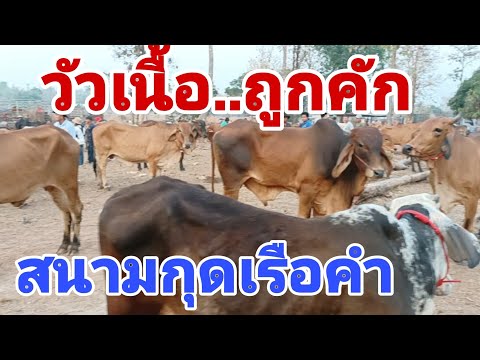 ผลสลากกินแบ่งรัฐบาล วันที่ 1 พย. 2567