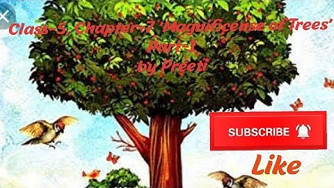 Class-5(EVS) Chapter-7.1