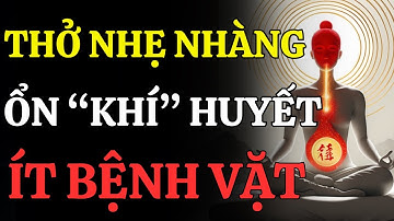 Hơi Thở Trị Liệu Đan Điền Và Wim Hof Giúp Cơ Thể Tăng Đề Kháng Và Ít Bệnh Vặt!