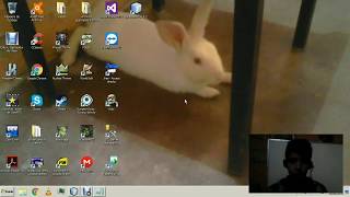 Introduccion a Netbeans y Explicacion de dos ejercicios (parte 1)