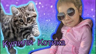 ПОКУПАЕМ НЕОБЫЧНУЮ КОШКУ ПЕРВЫЙ РАЗ! КОТЕНОК ПОДРУЖИЛСЯ С СОБАКОЙ! ВИДЕО ДЛЯ ДЕТЕЙ ПОКУПАЕМ НЕОБЫЧНУЮ КОШКУ ПЕРВЫЙ РАЗ! КОТЕНОК ПОДРУЖИЛСЯ С СОБАКОЙ! ВИДЕО ДЛЯ ДЕТЕЙ