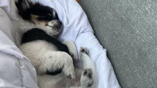 Lulkanto 2. Muziko de Volodymyr Soroka, teksto kaj plenumo de Marina Moritz