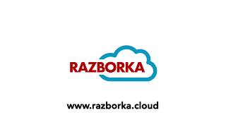 Программа для магазина автозапчастей Razborka.cloud screenshot 1