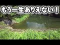 超ウルトラゴッド回【伝説級】