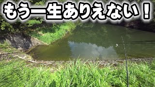 超ウルトラゴッド回【伝説級】