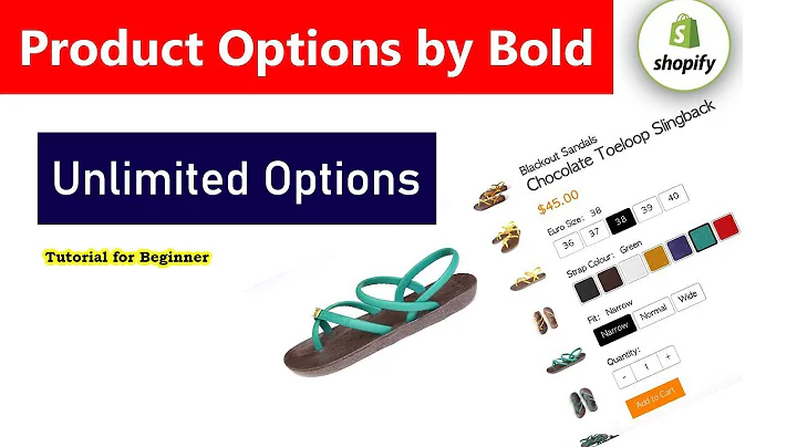 Enhance Your Shopify Store with Bold Product Option App