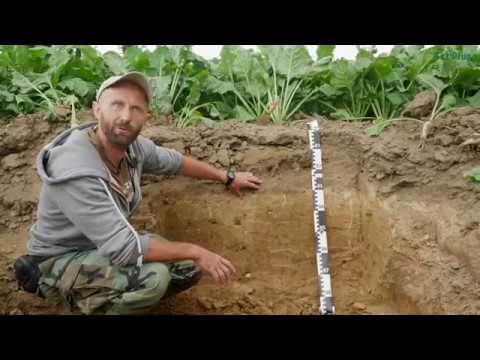 Wideo: Czy uprawa szkodzi glebie?