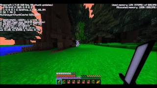 Hacker Caught in Shotbow