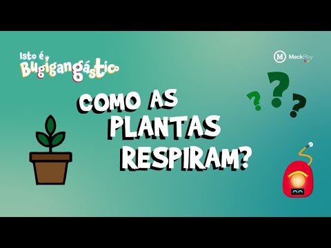 VOCÊ SABE COMO AS PLANTAS RESPIRAM? - ISTO É BUGIGANGÁSTICO | EP.22