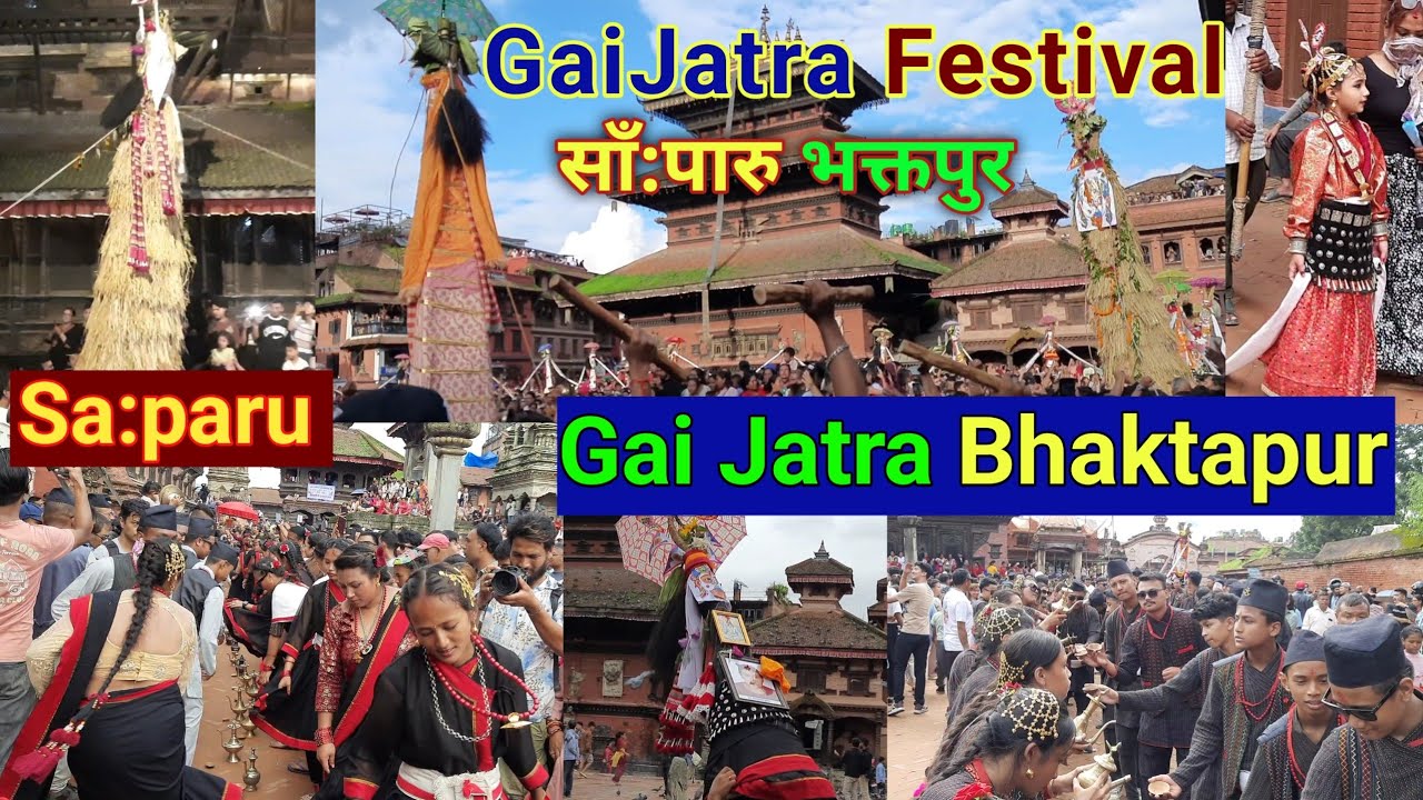 Gai Jatra | Gai Jatra Bhaktapur | Saparu | Short Documentary | Gai Jatra Festival | Gaijatra
