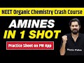 Amines in One Shot - All Concepts, Tricks & PYQs | Class 12 | NEET