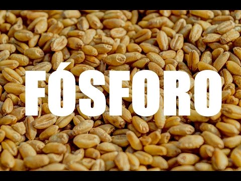 FÓSFORO - Benefícios, sintomas de deficiência e alimentos ricos em Fósforo