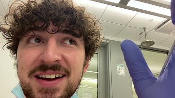 GWU BISC 2337 Intro Micro Lab Practical 1 Walkthrough Fall 2021