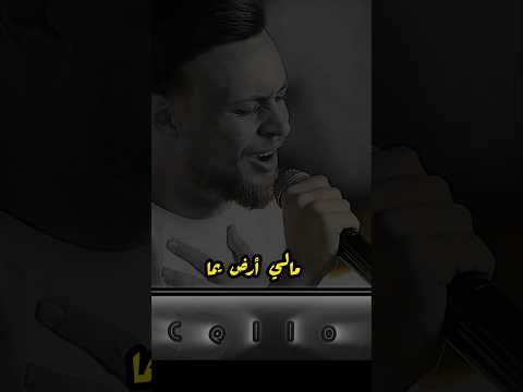 الشامي ما فيني أنتمي للويل بصوت عدي زاغة
