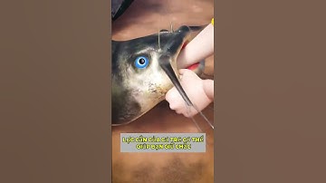 Cá trê có thể cắn vào tay bạn #fishing #cauca #docau3mien #xuhuong #trending #shorts