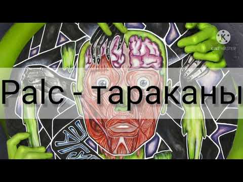 Palc - тараканы. Текст  песни (караоке)