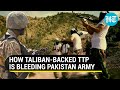 4 more Pakistan soldiers killed as TTP runs amok after collapse of ceasefire with Imran Khan govt