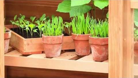 Gabriel Ash Upright Coldframe Features