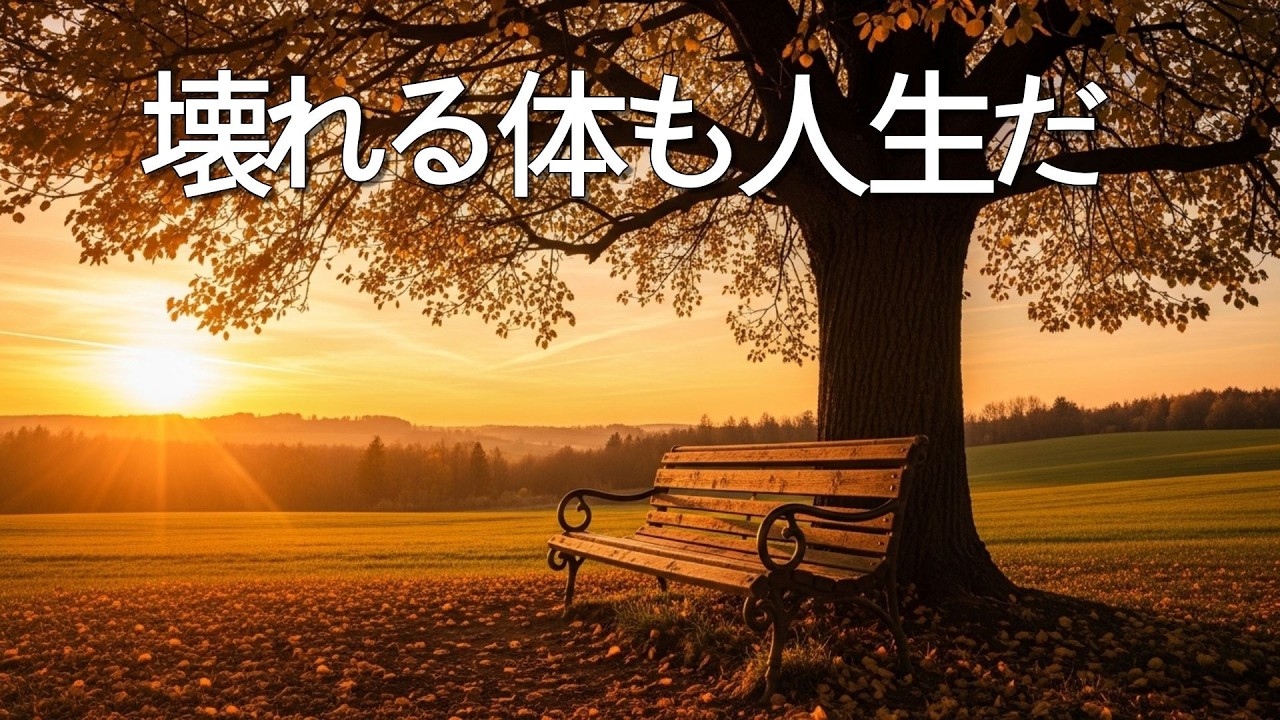 壊れゆく体も人生だ | 走り続けたあなたへ贈る感謝の歌 | 韓国トロット (Jpn Ver.)