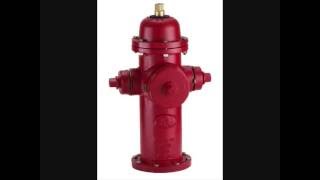 Freiwillige Feuerwehr Song