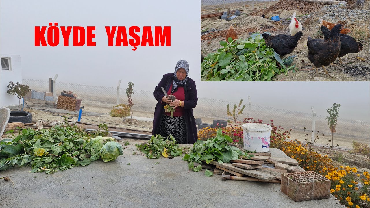 YİNE NELER ALDIK EVİMİZİN İHTİYAÇLARI HATİCE HANIM NELER YAPIYOR