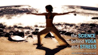The Science Behind Yoga and Stress
