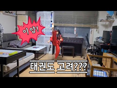 태권도! 초딩의 태권도 품세! 고려??