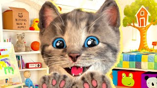 MY CUTE LITTLE KITTEN ADVENTURE OF A LITTLE CAT 🐱 ✨Best Learning cartoon for babies #cutecats screenshot 4