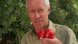 Seasol Plus Nutrients Range - Seasol Product Video - Nigel Ruck