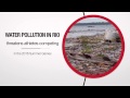 Global :60 - Olympic controversy, child labor and chocolate, and UN decries poaching - 7/31