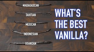 Madagascar, Mexican, French vanilla? Tasting 5 types of vanilla beans