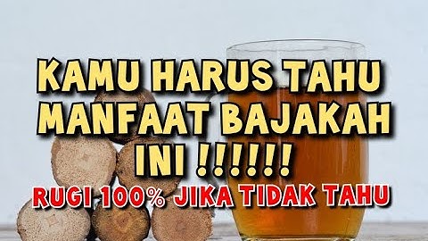 Khasiat Kayu Bajakah untuk Kesehatan