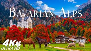 Bavarian Alps Autumn 4K 🍂 Golden Forests, Fairytale Castles & Glowing Mountain Valleys