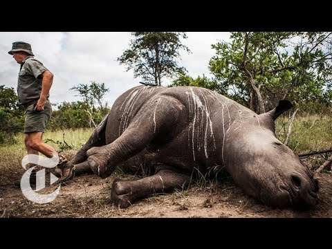 Poachers Beware: Drones
