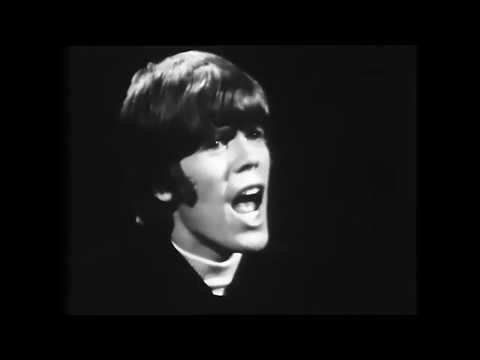 Herman's Hermits - My Sentimental Friend + Silhouettes in TV 60's