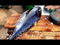 TUNA FISH CUTTING | කෙලවල්ලා
