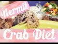 Hermit Crab Diet: What I Feed My Crabs Daily 🐚🦀 Lori’s Hartland