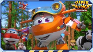 [Сборник SUPERWINGS5] Санни! | Супер домашние животные | Суперкрылья Полные эпизоды