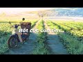 Bắt cóc con tim, Em Là Nhất, Đường Tôi Chở Em Về, … Playlist lofi cực hot tiktok cho ngày vui vẻ!!