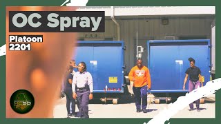 Platoon 2201 OC Spray