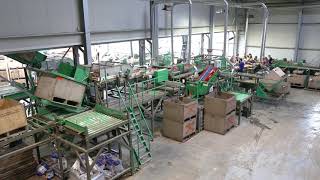 Total Systems Crate Tipper With Input And Output