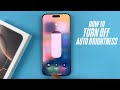 How to Turn Off Auto Brightness On iPhone 16 / 16 Pro