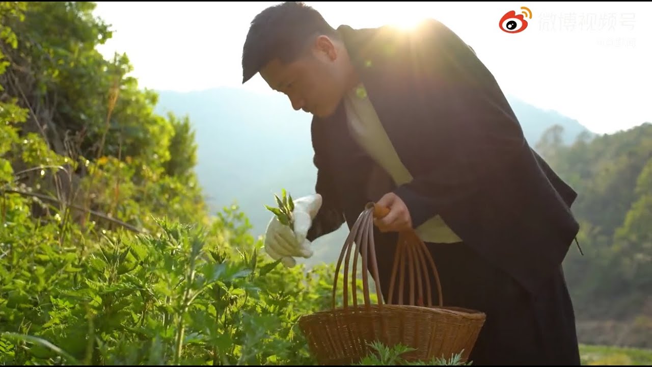 Fan Wai forest vegetable delicacy - the end